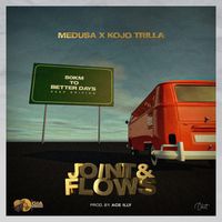 Medusa - Joint & Flows (Explicit)