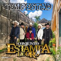 Conjunto Estampa De Oro - Tempestad