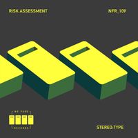 Risk Assessment - Stereo:Type