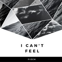 Fizch - I Can't Feel