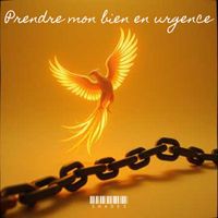 Shades - Prendre mon bien en urgence