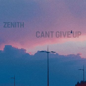 zenith - Cant Give Up