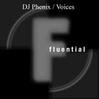 Dj Phenix - Voices