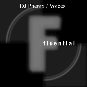 Dj Phenix - Voices