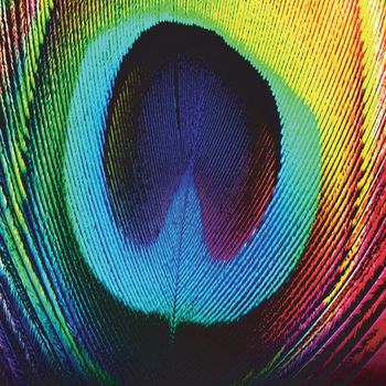 Osunlade - Peacock