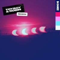 Toyboy & Robin - Reason