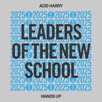 ACID HARRY - Hands Up