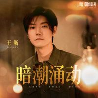王晰 - 暗潮涌动（《暗潮缉凶》影视剧片尾曲）