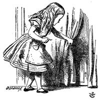 Special Request - Curtain Twitcher (Nina Kraviz Alice Was Here Remix)