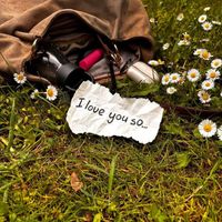 The Floor - I Love You So (Explicit)