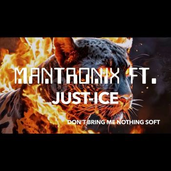 Mantronix - Don't Bring Me Nothing Soft (Explicit)