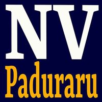 Paduraru - NV Hymnastics