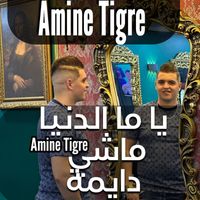 Amine Tigre - يا ما الدنيا ماشي دايمة
