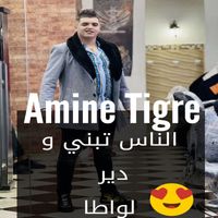 Amine Tigre - الناس تبني و دير لواطا