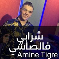 Amine Tigre - شرابي فالصاشي