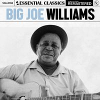 Big Joe Williams - Essential Classics, Vol. 708: Big Joe Williams
