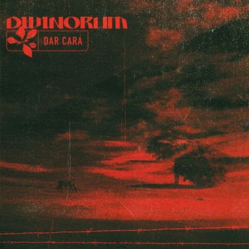 Divinorum - Dar Cara