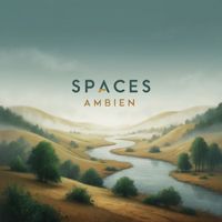 Ambien - Spaces