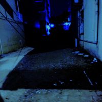 Feline - NoVoiceFromAnybody