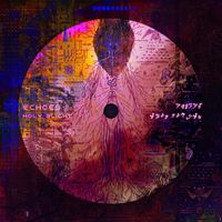 ECHOES - HOLY BLIGHT