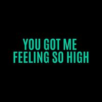 Black Wolf - You Got Me Feeling So High