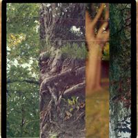 The Other Place - Inne Miejsca