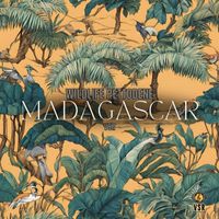 Wildlife Pettodene - Madagascar
