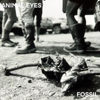 Animal Eyes - Fossil (Explicit)