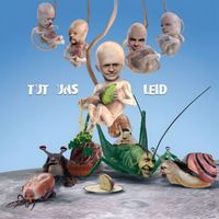 Knorkator - Tut uns leid (Explicit)