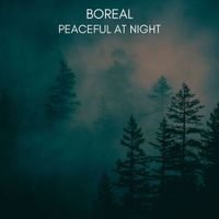 Boreal - Peaceful at Night