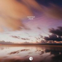 shandr - Nevermind