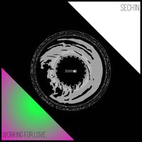 Sech1n - Working For Love