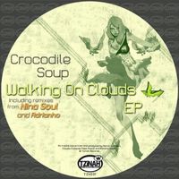 Crocodile Soup - Walking on Clouds