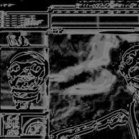 Shakes - WAIT AND SEE