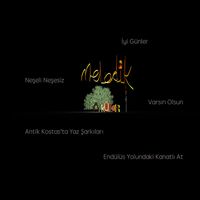 Nilüfer Açıkalın - Melodik Öyküler
