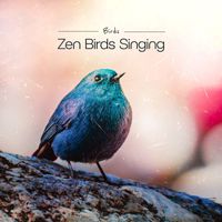 Birds - Zen Birds Singing