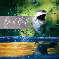 Rain Sounds - Bird Bath