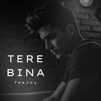 TeeJay - Tere Bina