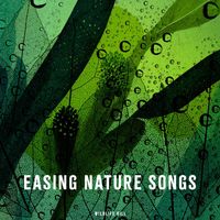 Wildlife Bill - Easing Nature Songs