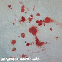 weareallmadeofstardust - slugs, shells, pellets (Explicit)