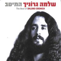 Shlomo Gronich - המיטב