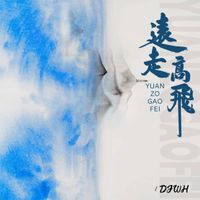 金志文 - 远走高飞 (DJWH版)