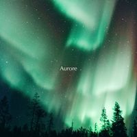 The Puzzle - Aurore