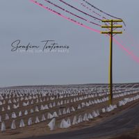 Serafim Tsotsonis - I Am the Sum of My Parts