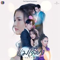 แอม เสาวลักษณ์ - ไม่ต้องรักฉันเหมือนเขาคนนั้น (From "แม่เลี้ยง")