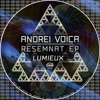 Andrei Voica - Resemnat