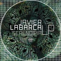 Javier Labarca - Serendipia