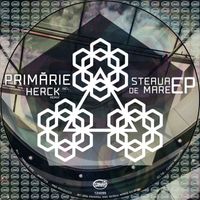 Primarie - Steaua De Mare