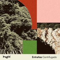 Entrañas - Centrifugado