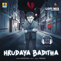 Srinivas - Hrudaya Baditha (Lofi Mix)